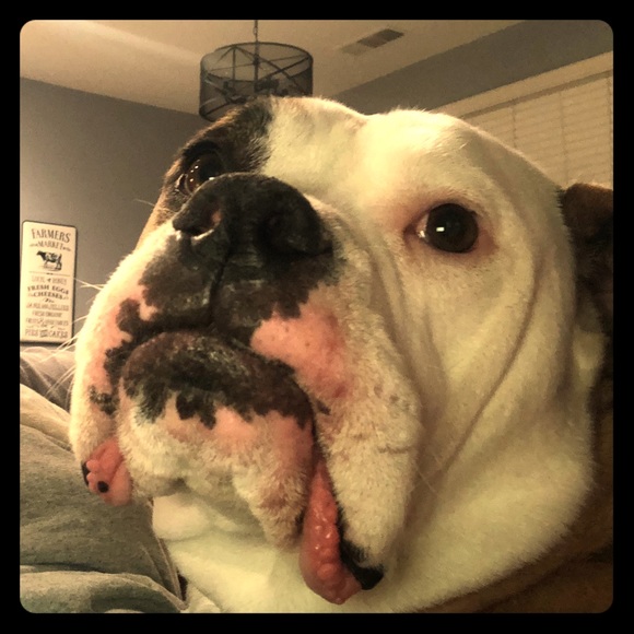 Meet your Posher, Brian - Picture 1 of 1